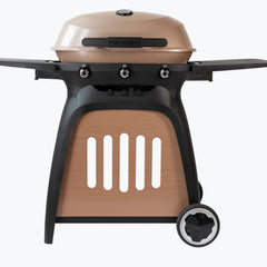 Collection image for: Gas BBQS