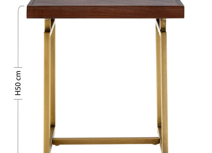 Brando Acacia Veneer Side Table with Antique Brass Finish Frame