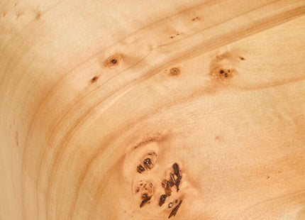 Mota Natural Burl Wood Curved Coffee Table