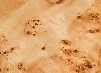 Mota Natural Burl Wood Curved Coffee Table