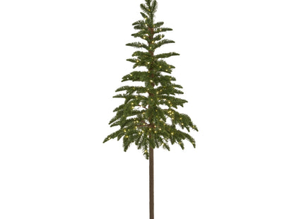 Medium Green Woodland Pre-Lit 200 Led Christmas Tree