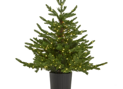 Green Forest Fir Pre-Lit Led 300L Christmas Tree In Pot