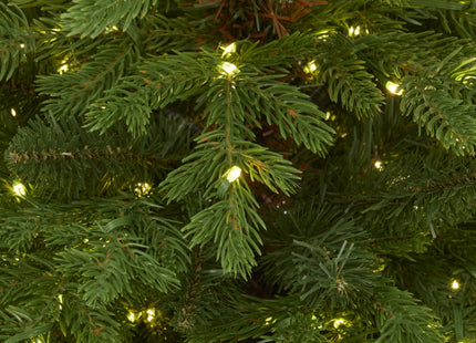 Green Forest Fir Pre-Lit Led 300L Christmas Tree In Pot