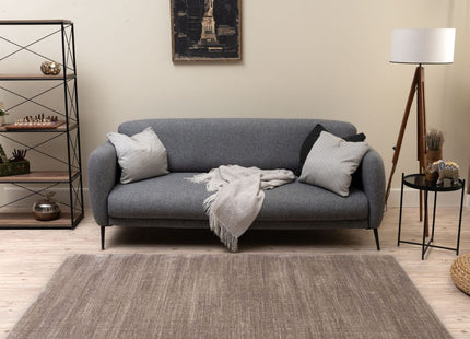 Montana Beige Rug | 3800B