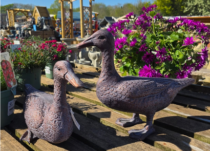 Pair of Ducks Garden Sculpture – 29cm, Antique Bronze