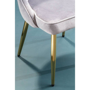 Demi Grey Velvet Dining Chair with Brushed Gold Finish Legs
