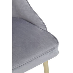 Demi Grey Velvet Dining Chair with Brushed Gold Finish Legs