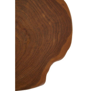 Manado Natural Teak Wood Live Edge Side Table with Black Finish Legs