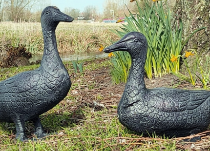 Pair of Ducks Garden Sculpture – 29cm, Antique Bronze