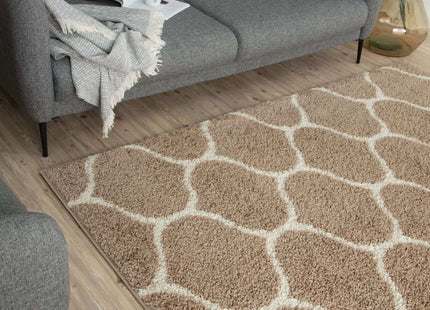 Moroccan Beige Shaggy Rug | 620
