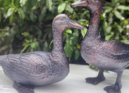 Pair of Ducks Garden Sculpture – 29cm, Antique Bronze
