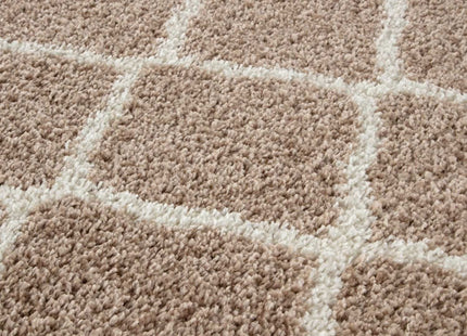 Moroccan Beige Shaggy Rug | 720