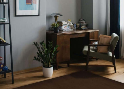 Maestro Solid Brown Rug