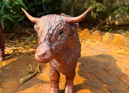 Licking Highland Cow Garden Sculpture – 50cm, Antique Bronze