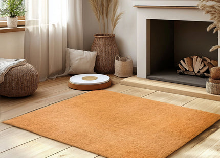 Non-Shed Synthetic Coir Large Rugs