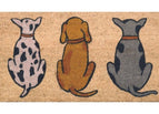 DOGS