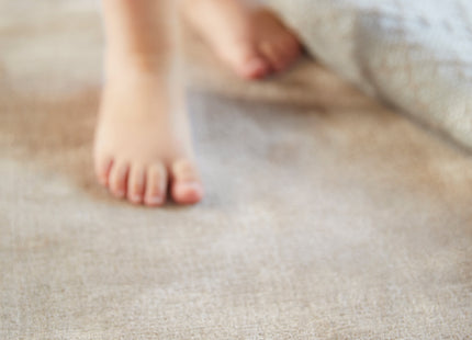Rug Guru Karma Mink Viscose Rug