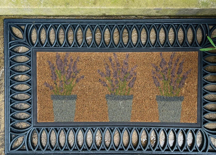 Outdoor Lavender Coir Insert (23x53cm)