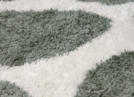 Moodi Shaggy Green Erosan Rug