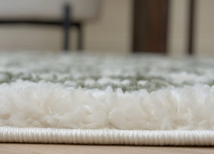 Moodi Shaggy Green Lunel Rug