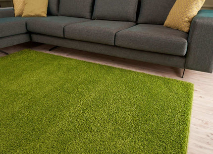 Myshaggy Solid Green Rug