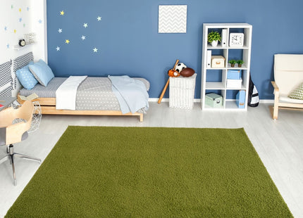 Myshaggy Solid Green Rug