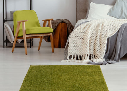 Myshaggy Solid Green Rug