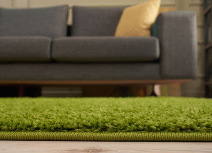 Myshaggy Solid Green Rug