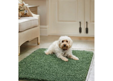 Washable Forest Green Shaggy Rug