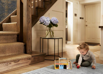 Fine Stripes Silver Grey Wool Rug