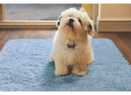 Washable Blue Shaggy Rug