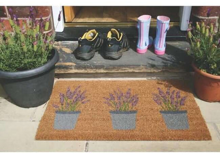 Outdoor Lavender Coir Insert (23x53cm)