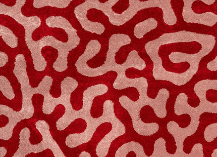 Joli Doodle Red & Pink Rug