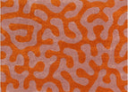 80X150 cm