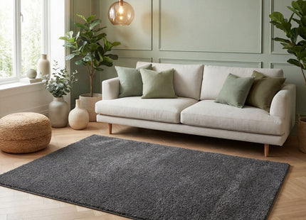 Myshaggy Solid Dark Grey Rug